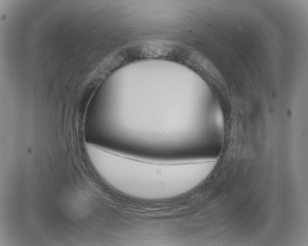 X0000085830315200703161036