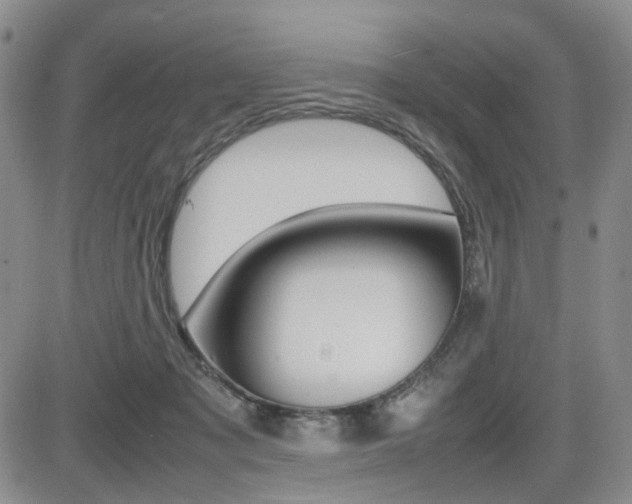 X0000085830317200703161036