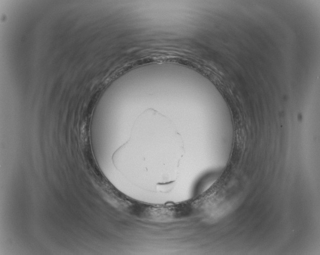 X0000085830327200703161036