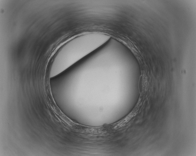 X0000085830338200703161035