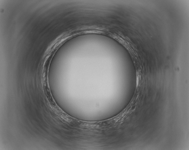 X0000085830339200703161035