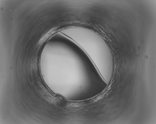 X0000085830341200703161035