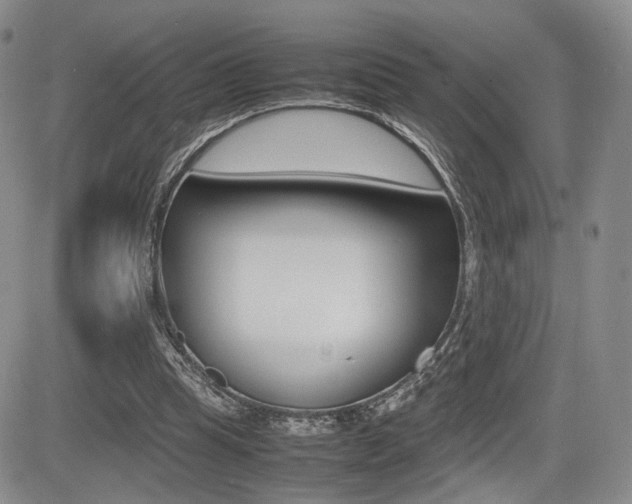 X0000085830345200703161035