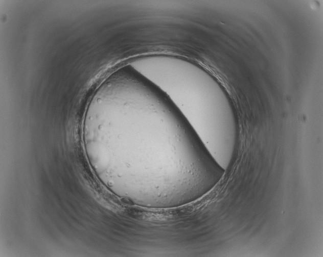 X0000085830347200703161035