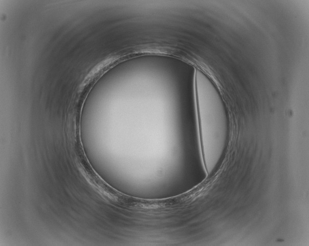X0000085830349200703161035