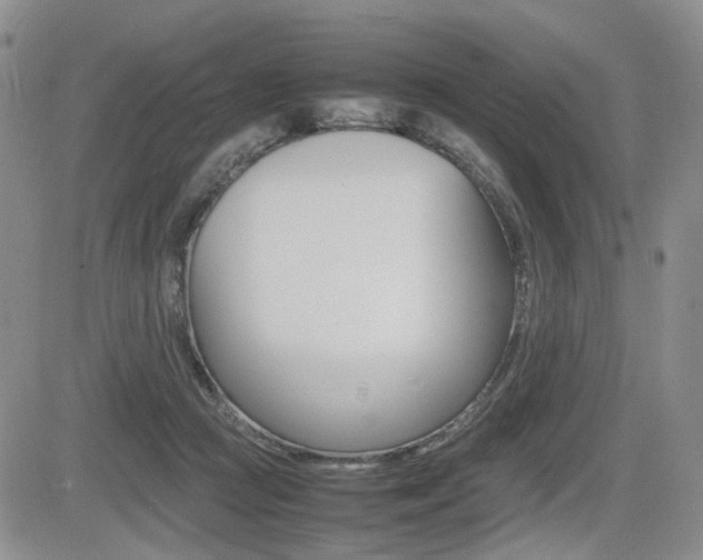 X0000085830361200703161036