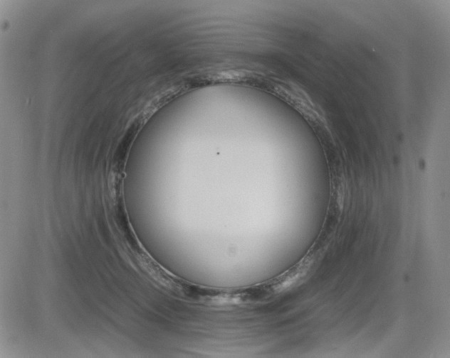 X0000085830366200703161036