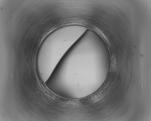 X0000085830386200703161035