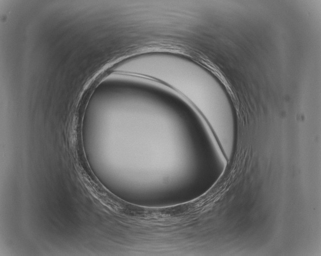 X0000085830387200703161035