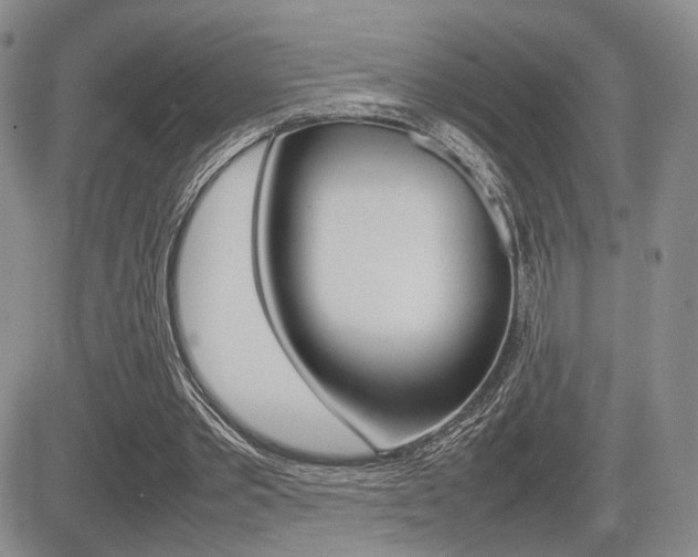 X0000085830389200703161035