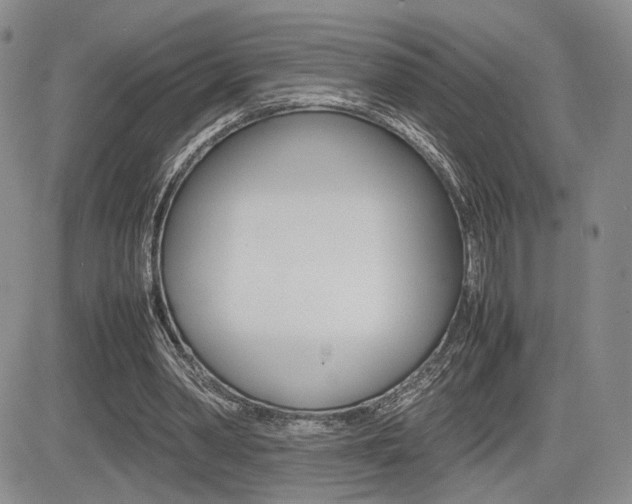 X0000085830390200703161035