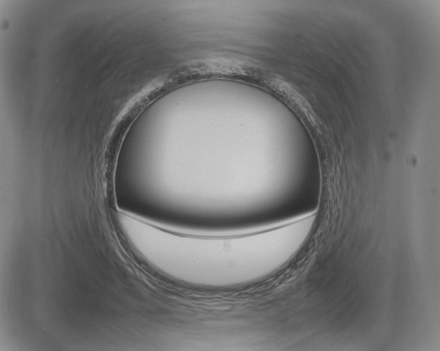 X0000085830395200703161035