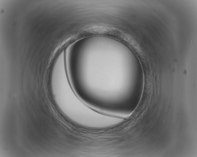 X0000085830399200703161035