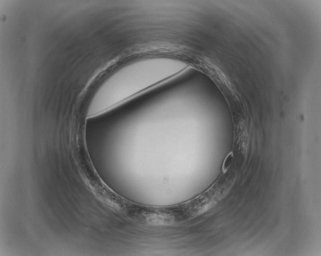 X0000085830400200703161035