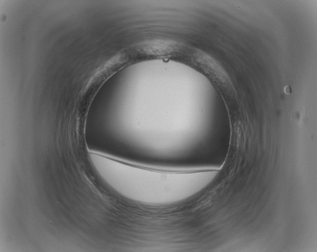 X0000085830404200703161035