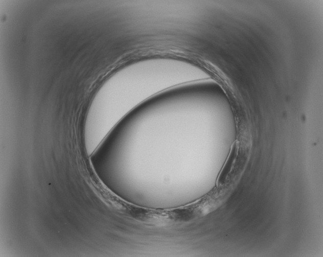 X0000085830405200703161035