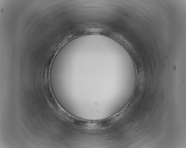 X0000085830406200703161035