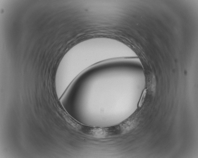 X0000085830425200703161035
