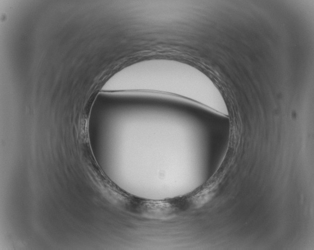 X0000085830429200703161034