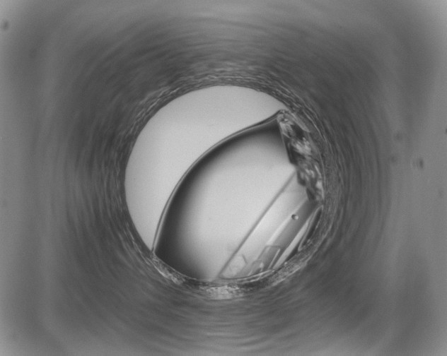 X0000085830432200703161034