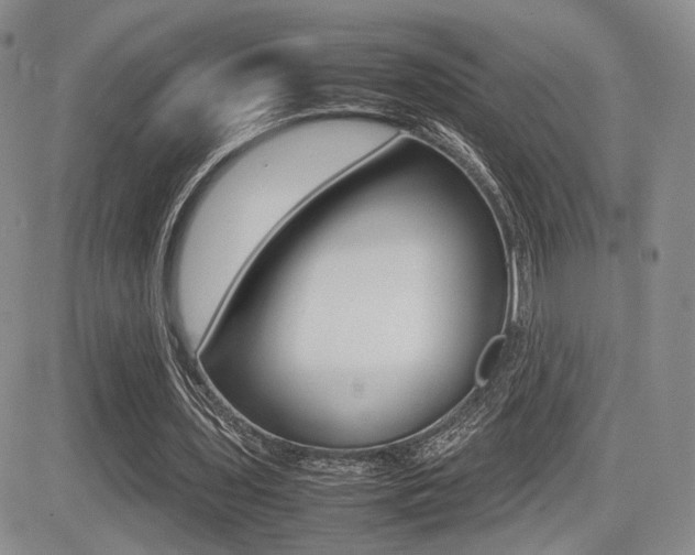 X0000085830435200703161034