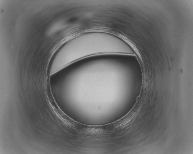 X0000085830437200703161034