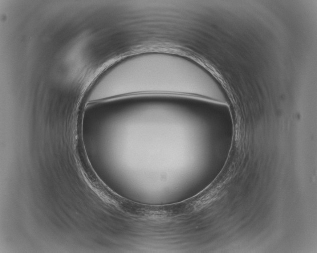 X0000085830438200703161034