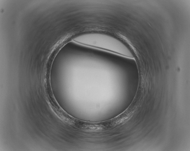 X0000085830443200703161034