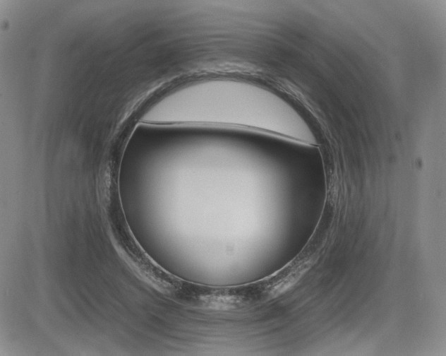 X0000085830448200703161034