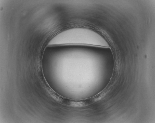 X0000085830457200703161034