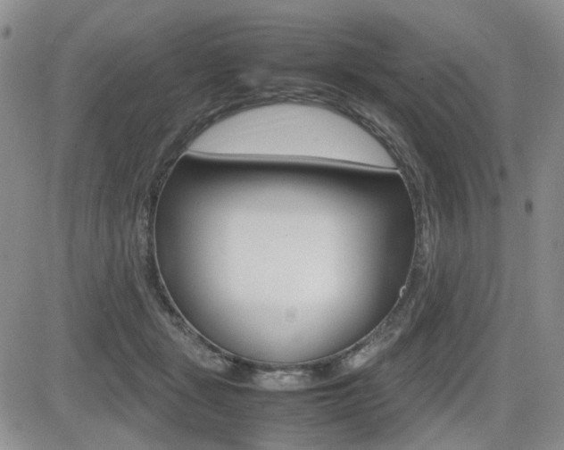 X0000085830461200703161034