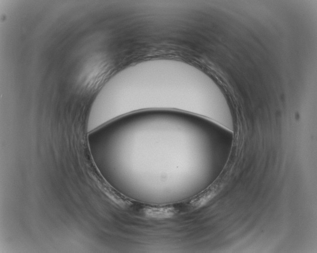 X0000085830465200703161034