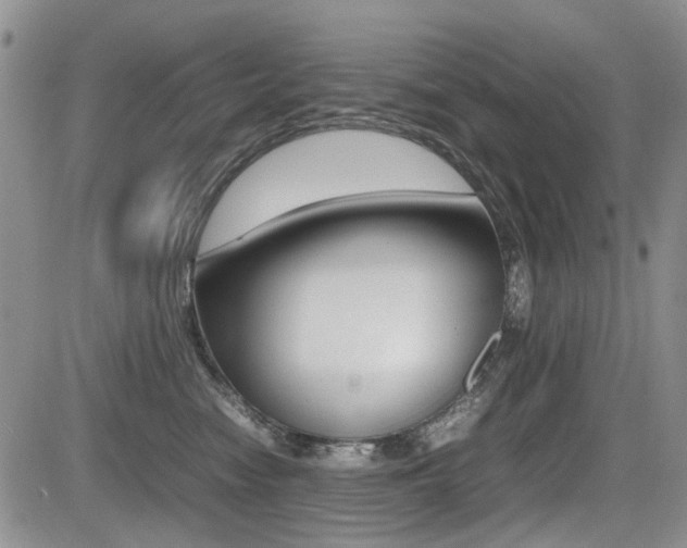 X0000085830474200703161034