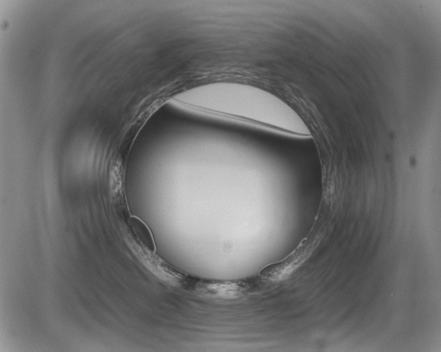 X0000085830478200703161034