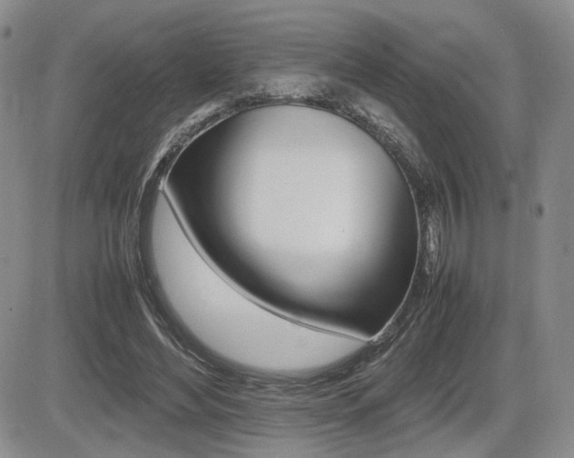 X0000085830492200703161033