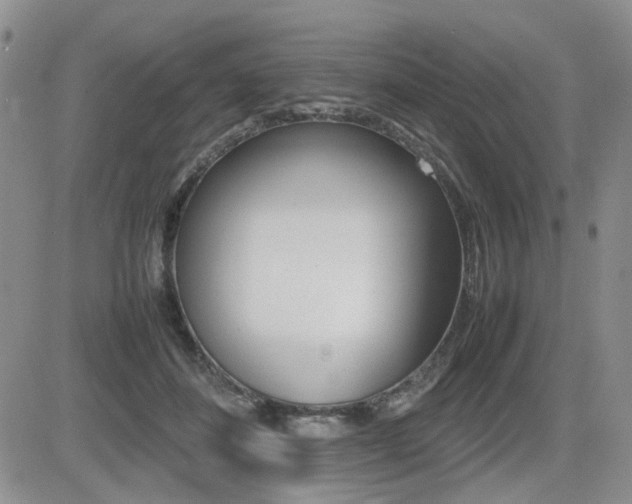 X0000085830508200703161033