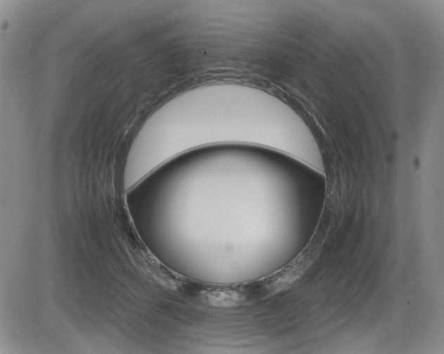 X0000085830512200703161033