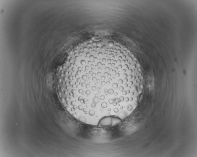 X0000085830519200703161033