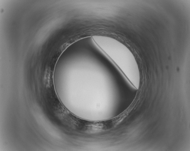 X0000085830525200703161033
