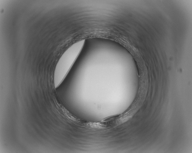 X0000085830528200703161033