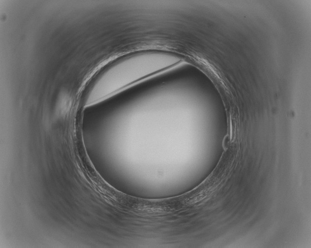 X0000085830531200703161032