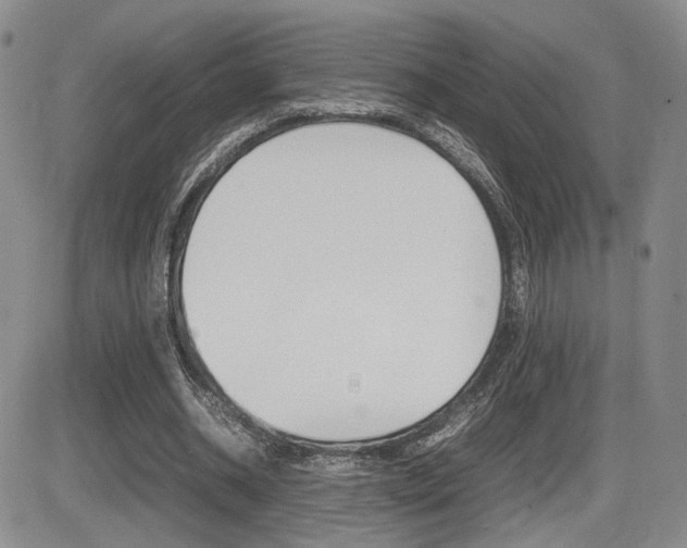 X0000085830534200703161032