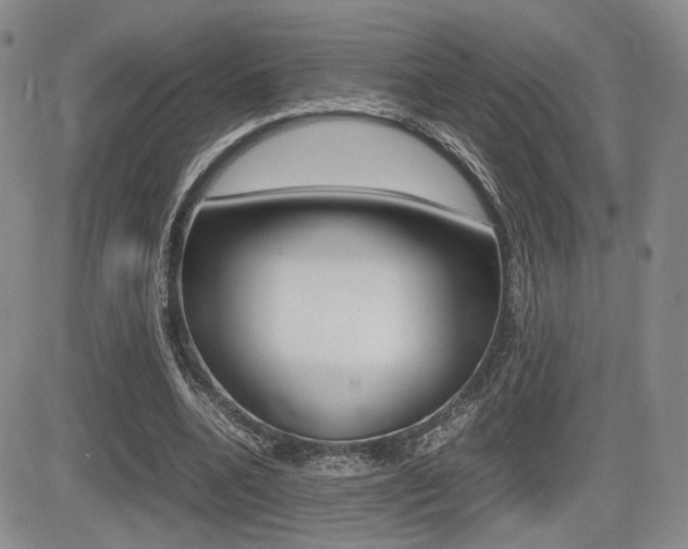 X0000085830536200703161032