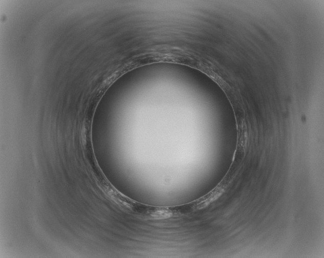 X0000085830562200703161033