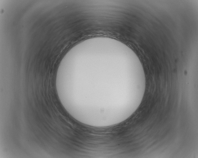 X0000085830564200703161033