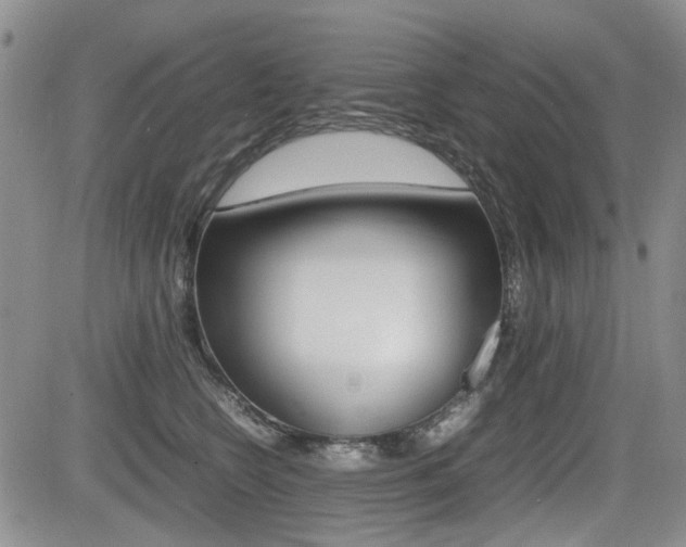 X0000085830566200703161033