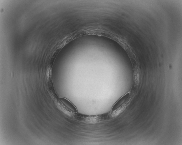 X0000085830574200703161033