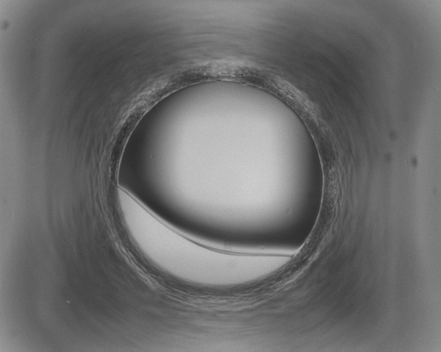X0000085830589200703161032