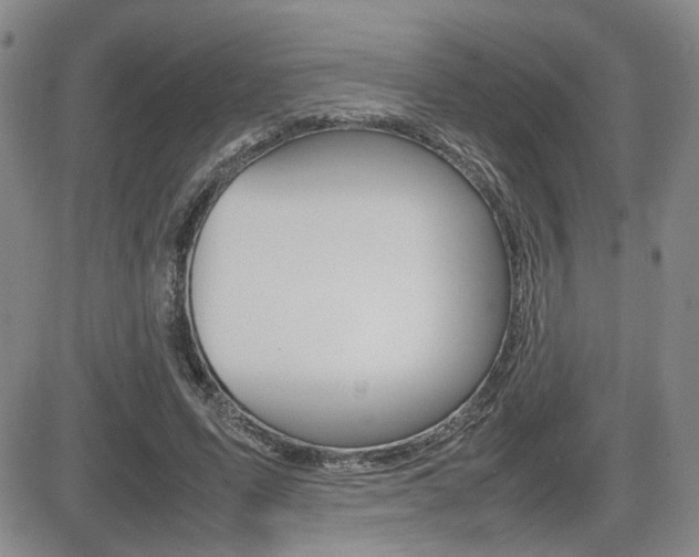 X0000085830591200703161032