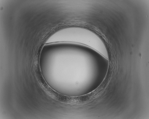 X0000085830593200703161032